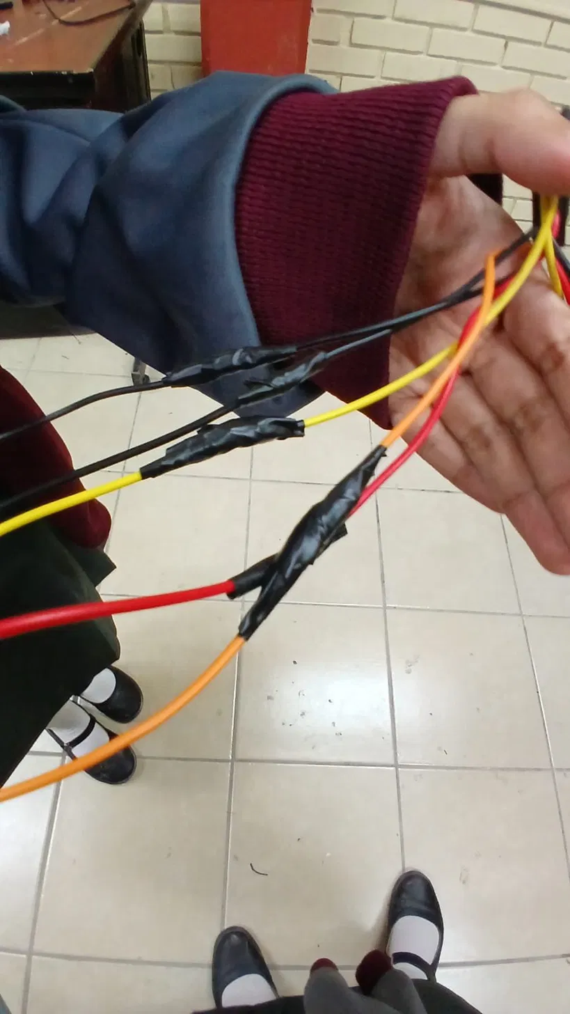 TecnoRED en acción 10